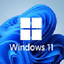 Windows 11 Insider Preview 10.0.22000.132 官方企业版中文版下载